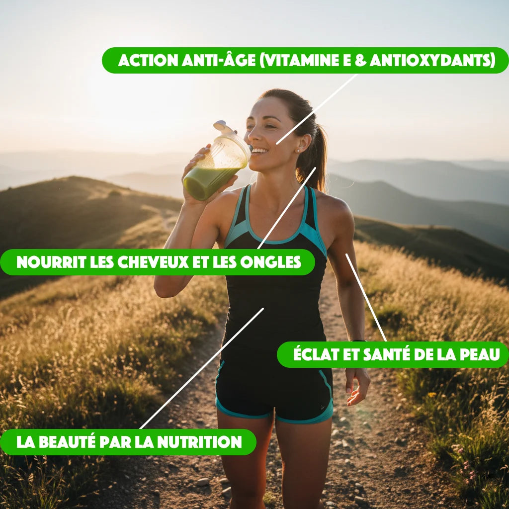 Poudre de Moringa Bio Pure - Feuilles Séchées Riches en Nutriments